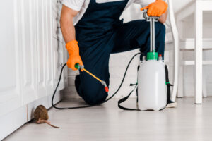 Cosmos Certified Hygiene Pest Management